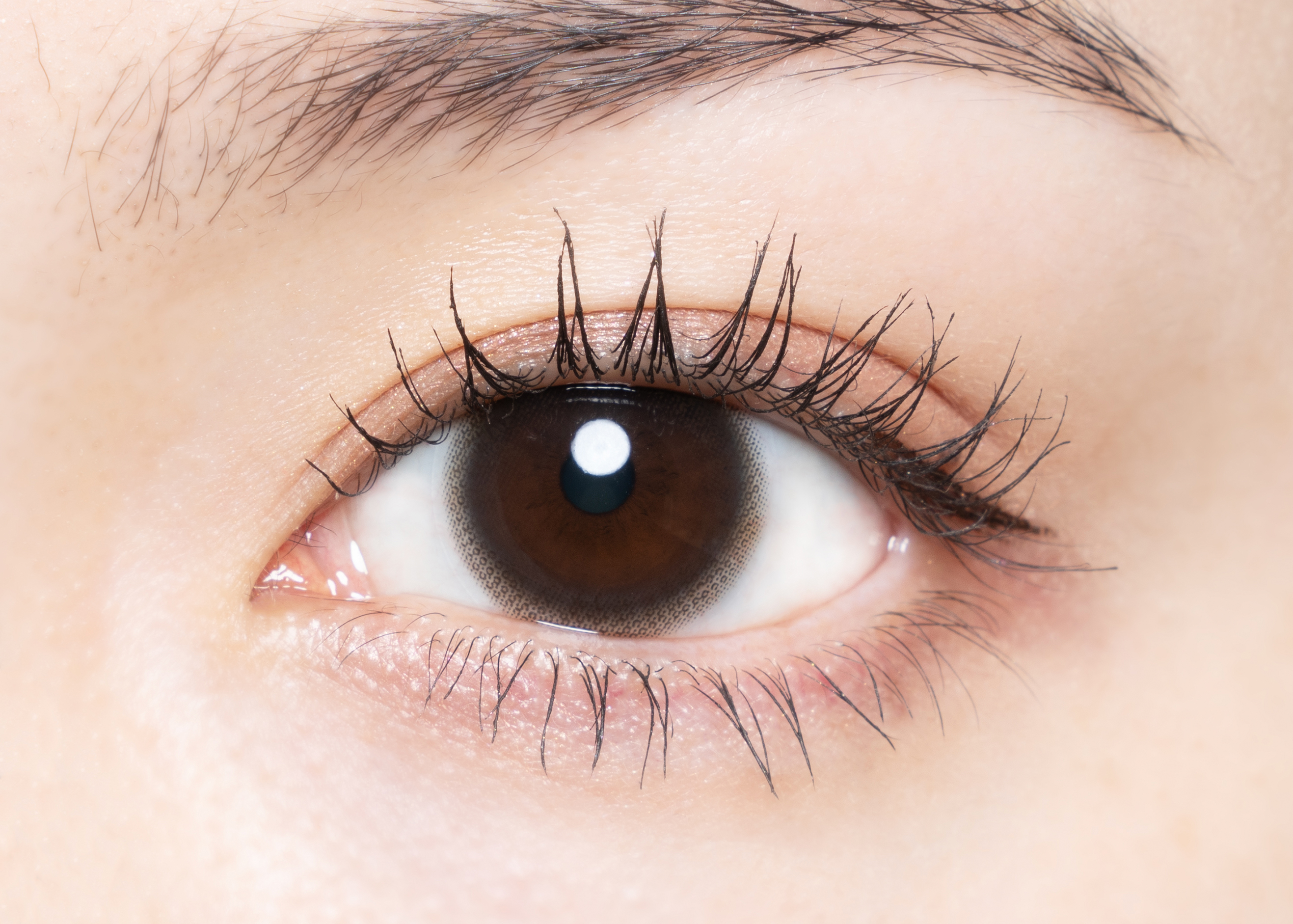 chu"s me トーリックチューズミー トーリック　ベイビーブラウンC-1.25